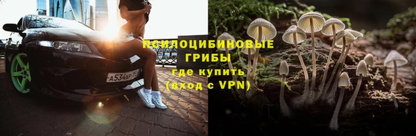 сатива Арсеньев