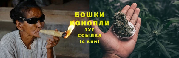 сатива Арсеньев