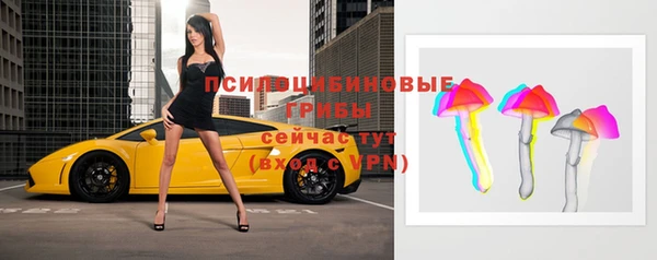 прущие крисы Аркадак