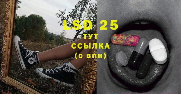 дмт Нея
