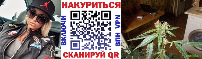 Шишки марихуана Amnesia  Новая Ладога 